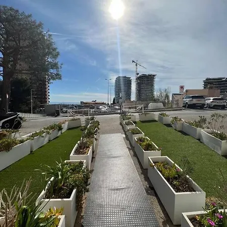 Vue Sur Proche Monaco Beausoleil
